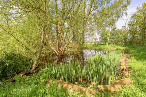Pond 3