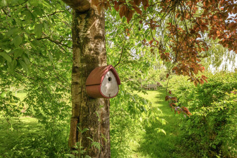 Bird Box