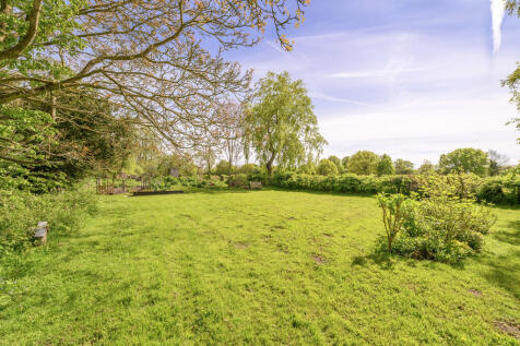 Garden 7