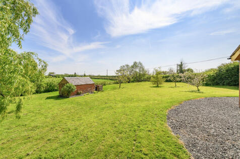 Garden 2