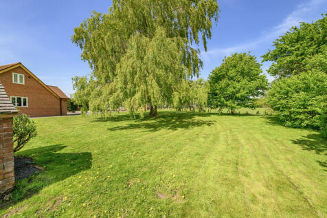 Garden 6