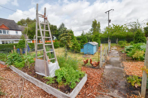 Kitchen Garden 4