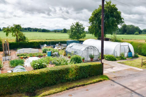 Kitchen Garden 1