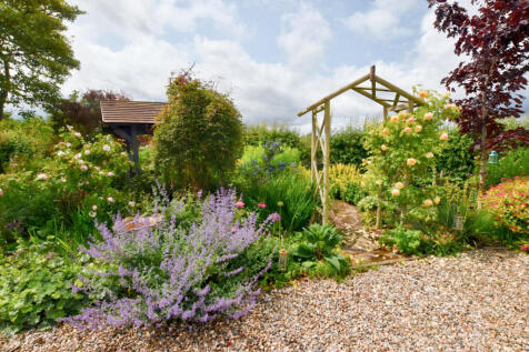 Rear Garden 5