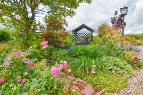 Rear Garden 7