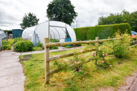 Kitchen Garden 3
