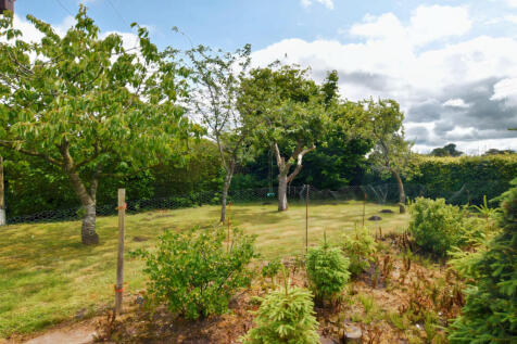 Kitchen Garden 7