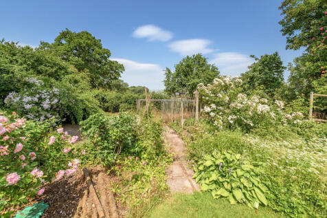 Kitchen Garden 1