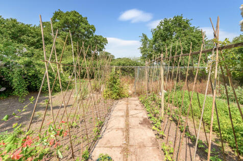 Kitchen Garden 2
