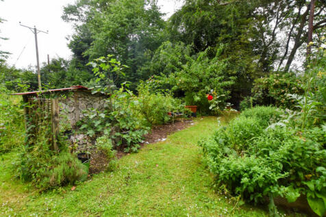 Garden 5
