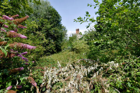 Garden 1