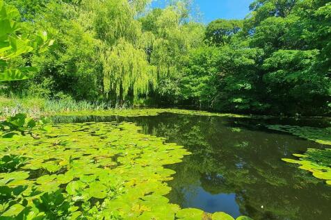 IMG_68372_31_larg...