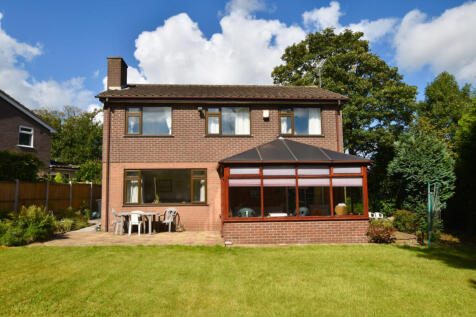 Rear Aspect