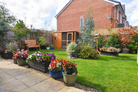 Rear Garden 4
