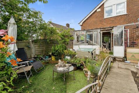 Back Garden