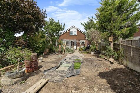 Back Garden