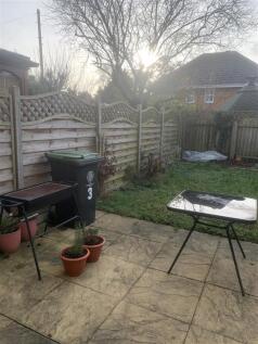 garden.jpeg