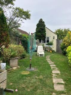 garden.JPG