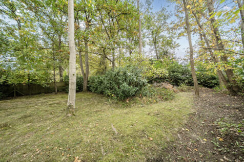 1364971-5-68efa89...