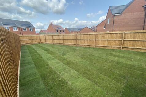 image00008