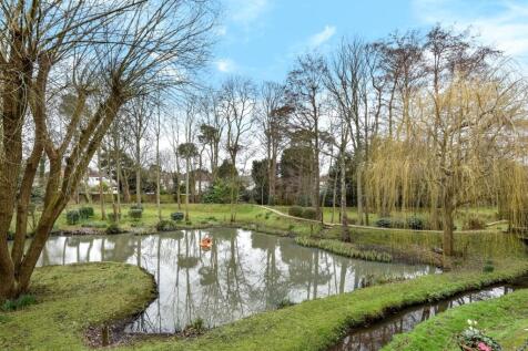 Pond
