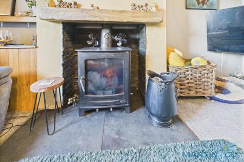 Multi-Fuel Stove