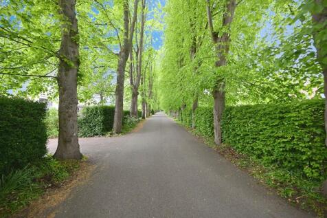 30eedfe8-DSC_2551