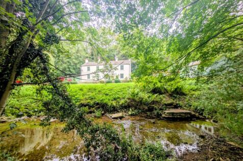 View From Stream