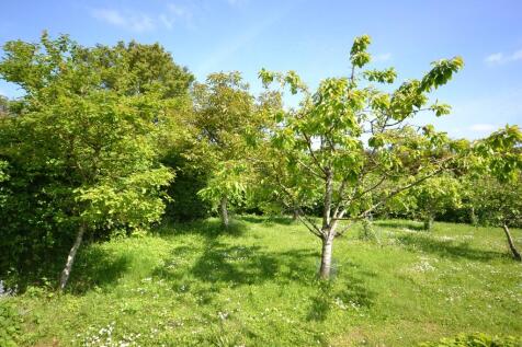 Property Image 39