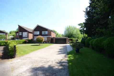 Property Image 41