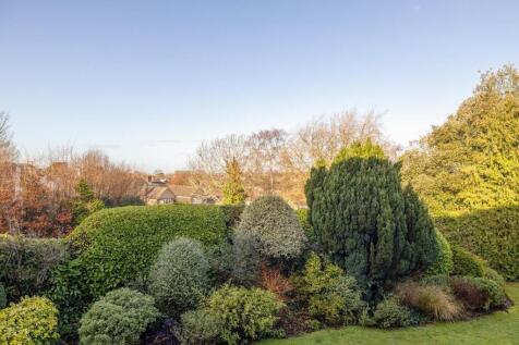 CD7A1360-HDR.jpg