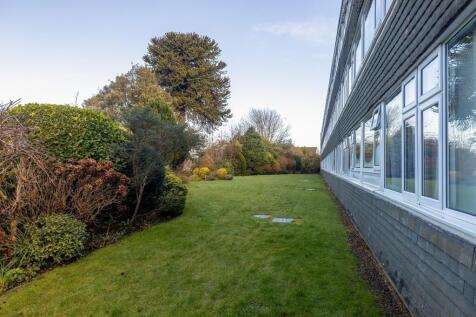 CD7A1371-HDR.jpg