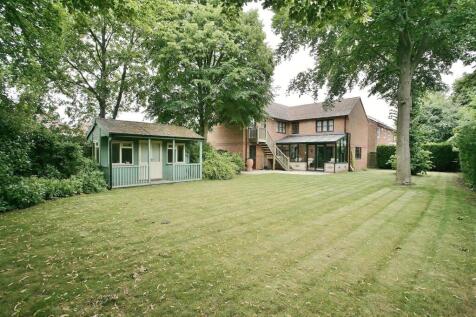 Property Image 4