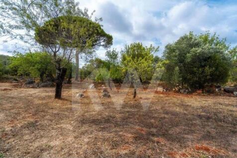 Property Image 69