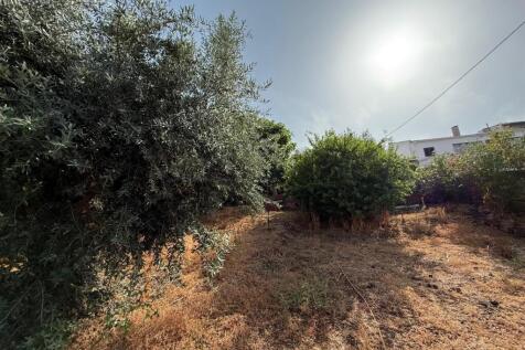 Property Image 44