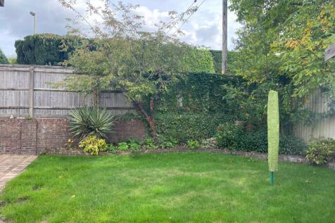 Rear Garden (2)