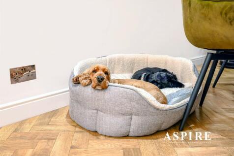 Aspire Estate Agents1036.jpg