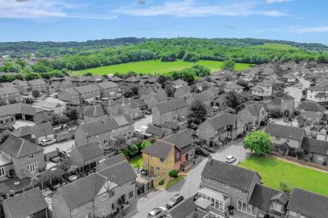 DJI_0036.jpg