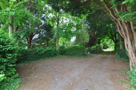 Property Image 44