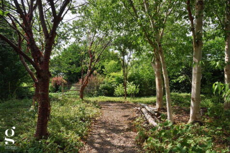 Property Image 58