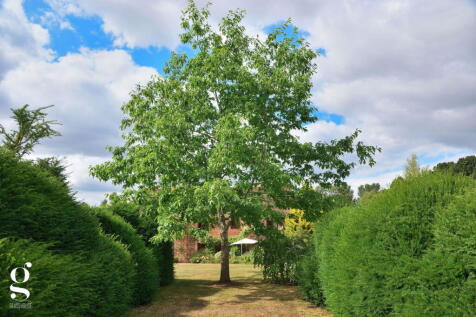 Property Image 64