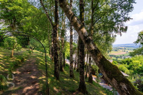 Property Image 56