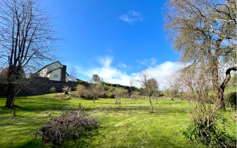 110246_ADR-S-10242_IMG_03_0000_max_476x317