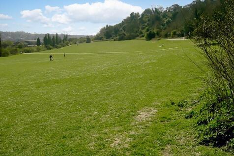 Findon Gallops