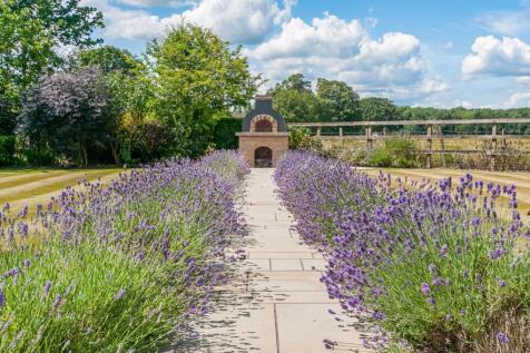 Lavender Walk