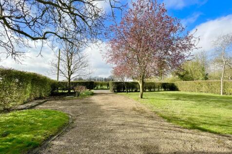 Front and driveway