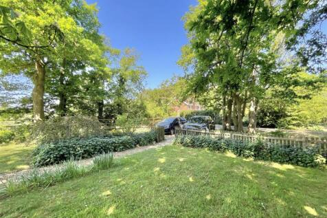 Garden and driveway