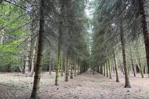 Plantation