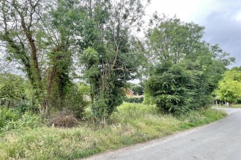 plot from road
