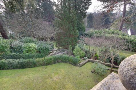 Garden (View from Patio)